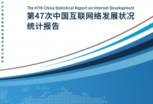 第47次《中国互联网络发展状况统计报告》-IDC头条