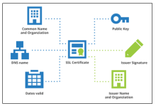 JOI(organizational structure) 是什么-IDC头条